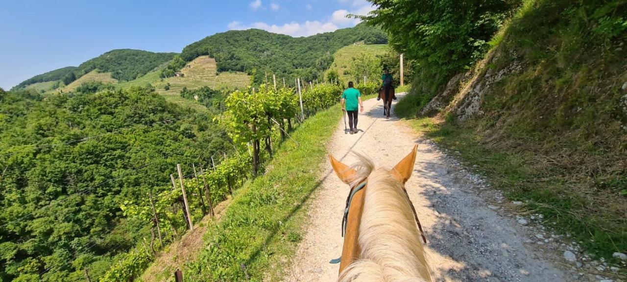 Bike And Wine Appartamento Farra di Soligo Esterno foto